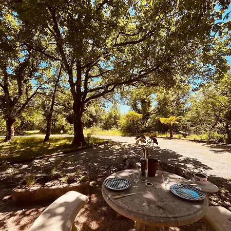 Le Perce Neige شاليه Durbans